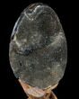 Septarian Dragon Egg Geode - Black Crystals #88163-2